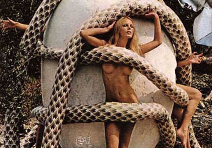 Сальвадор Дали и его совместный проект с Playboy